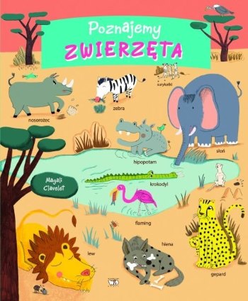 Read more about the article „Poznajemy zwierzęta” – recenzja książki