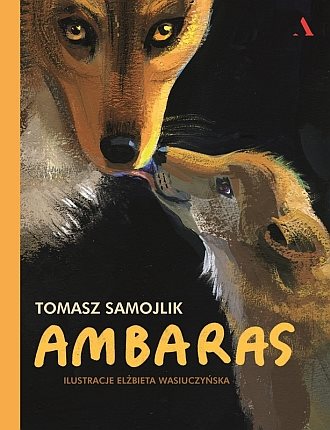 Read more about the article „Ambaras” – recenzja książki