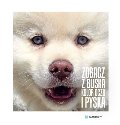 Read more about the article „Zobacz z bliska kolor oczu i pyska” – recenzja książki